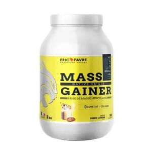 Eric Favre Sport Mass Gainer 3 Kg Chocolate