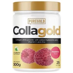 Puregold Protein Collagold 300g Limonada