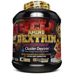 Big CICLO AMINO DEXTRIN 1500g Manzana