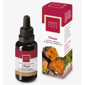 HIRANYAGARBA Karoti-Take Chaga 30ml