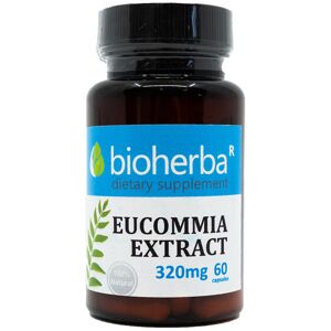 Bioherba Eucommia extracto 320 mg, 60 cápsulas