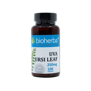 Bioherba Gayuba (Uva ursi) 250 mg, 100 cápsulas