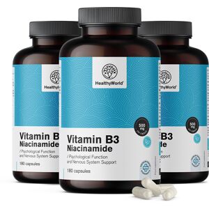 HealthyWorld® 3x Vitamina B3 500 mg – niacinamida, en total 540 cápsulas