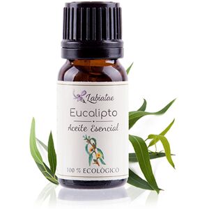 Labiatae Aceite Esencial Ecológico de Eucalipto (30ml.)