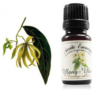 Labiatae Aceite Esencial Ecológico de Ylang-Ylang III