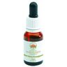 Frangipani de Suva rojo 15 ml de elixir floral - Australian Bush Flower Essences