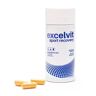 Excelvit Wellness Sport Recovery 60 VCaps