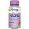 Solaray Turmeric With Bromelain Boswellia 95% Curcumin 60 VCaps