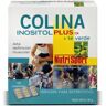 NutriSport Colina Inositol Plus + Te Verde 120 Tabs