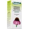 Biover Echinacea Purpurea Echinacée Bio 50 ml