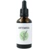 Naturlife Artemisa 50ml