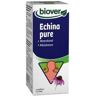 Biover Echina Pure 100ml