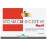 GSE Stomach Digetive Rapid