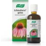 A. Vogel Echinaforce Gotas 100ml