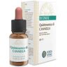 Forza Vitale Quintessence Cinnamon Ecosol