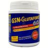 GSN Glutaforce 60 240g