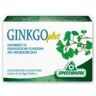 Specchiasol Ginkgo Plus 30Cps