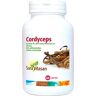 Sura Vitasan Cordyceps 60caps