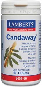 Lamberts Candaway 60 Tabs