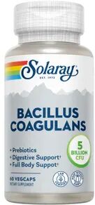 Solaray Bacillus Coagulans 60 VCaps