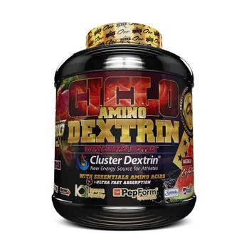 Big CICLO AMINO DEXTRIN 1500g Manzana