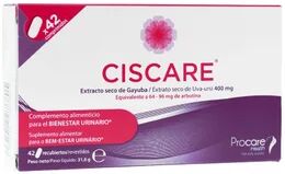 Procare Health Ciscare Extracto de Gayuba 42comp