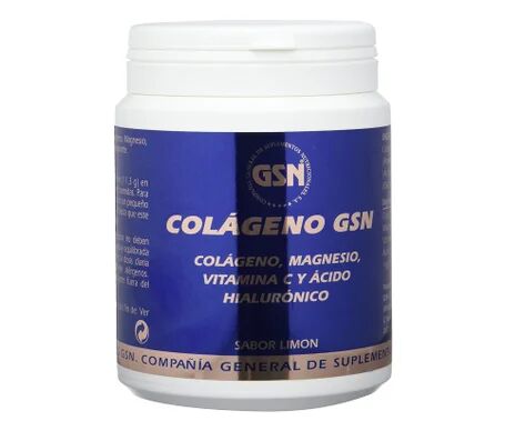 GSN Colageno Acido Hialuronico Limón Polvo 340g