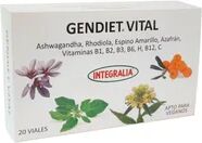 INTEGRALIA Gendiet 20amp