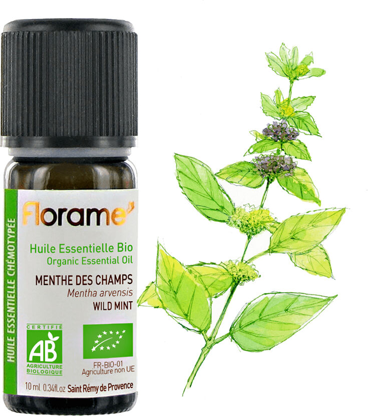 Florame Aceite Esencial de Menta Silvestre o Hierbabuena Bio