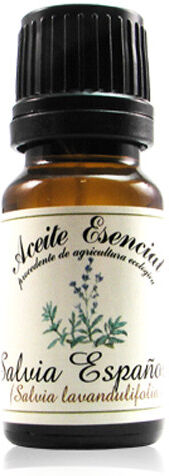 Labiatae Aceite Esencial Ecológico de Salvia Española