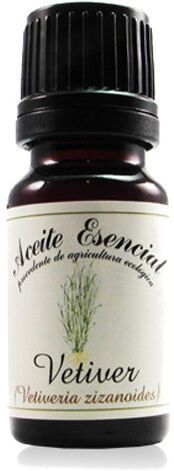 Labiatae Aceite Esencial Ecológico de Vetiver