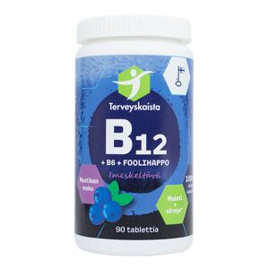 Terveyskaista Oy B12 + B6 + Foolihappo, imeskeltävä (mustikka)
