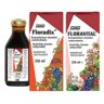 Salus Floradix rautavalmiste 500 ml