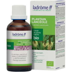 Ladrôme Extraits de Plantes Fraîches Plantain Lancéolé Bio 50ml - Publicité