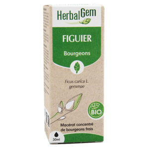 Herbalgem Macerat Concentre Figuier Bio 30ml