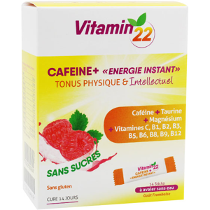 Ineldea Vitamin 22 Cafeine+ 14 Sticks