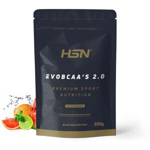 HSN Evobcaa's 2.0 (bcaa's 12:1:1 + glutamine) 500g punch de fruits