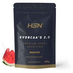 HSN Evobcaa's 2.0 (bcaa's 12:1:1 + glutamine) 500g pastèque