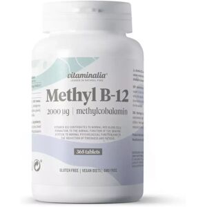 Vitaminalia Vitamine b12 (methylcobalamine) 2000mcg - 365 comps