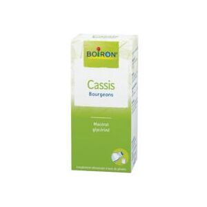 Boiron Cassis Bourgeons 60 ml - Flacon 60 ml - Publicité