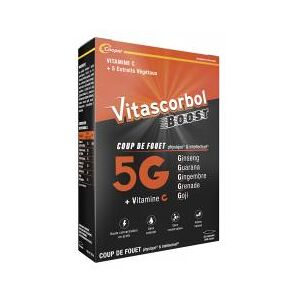 Vitascorbol Boost 5G 20 Ampoules Boite 20 ampoules de 10 ml