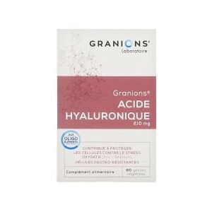 Granions Acide Hyaluronique 60 Gelules Vegetales - Boîte 60 gelules