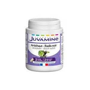 Juvamine Artichaut Radis Noir 120 Gelules - Pot 120 gelules