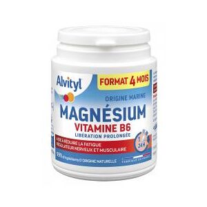 Alvityl Magnesium Vitamine B6 120 Comprimes - Pot 120 comprimes