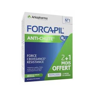 Arkopharma Forcapil Anti-Chute Lot de 3 x 30 Comprimes - Lot 3 x 30 comprimes