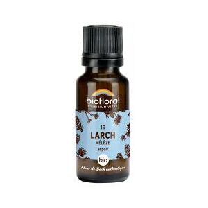 Biofloral Granules 19 Larch - Mélèze Bio 19,5 g - Flacon 19,5 g