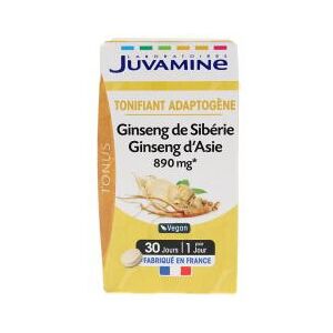 Juvamine Ginseng de Siberie Ginseng d