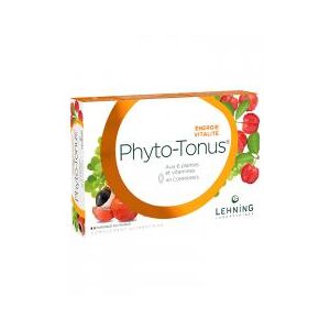 Laboratoires Lehning Phyto-Tonus 40 Comprimes - Boîte 40 comprimes