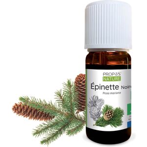 Épinette noire BIO - Huile essentielle