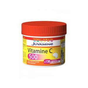 Juvamine Vitamine C 500 Maxi Format 120 Comprimes a Croquer Pot 120 Comprimes